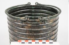 Foto von Bronzerippenciste (NHMW-PRAE-025983)